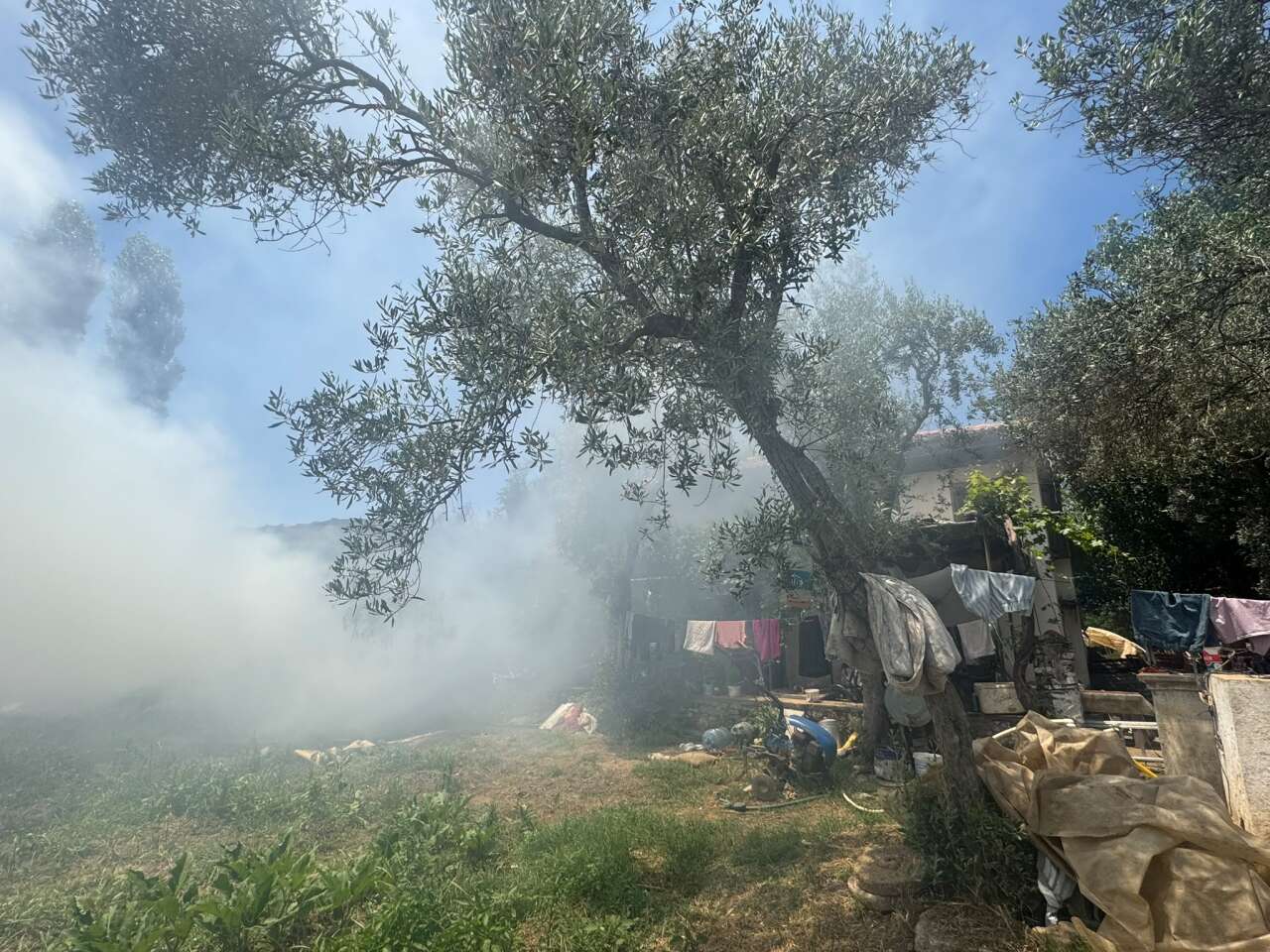 Menteşe Karabağlar Yaylası’nda Çıkan Yangın Kontrol Altına Alındı 1